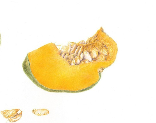Image for Masking Techniques in Watercolor - ONLINE