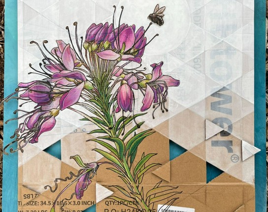 Image for Crafting with Cardboard: Pollinators