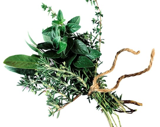 Image for Cordials and Tincture