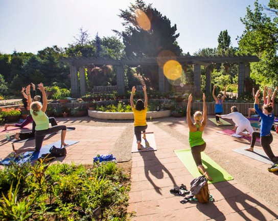 Image for Evening Yoga