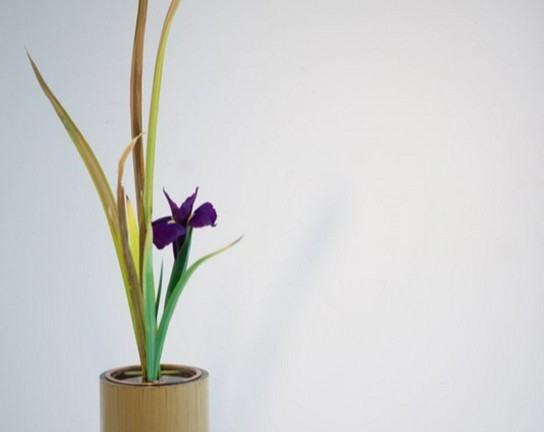Image for Invitation to Ikebana