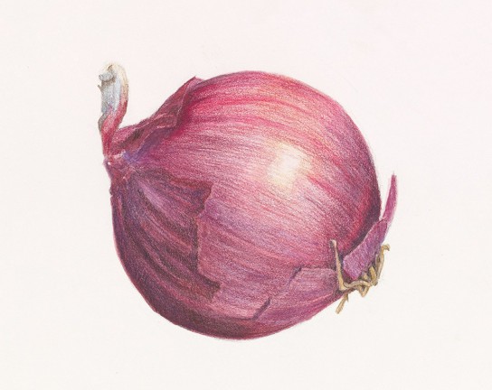 Image for Saturated Subjects in Colored Pencil - ONLINE