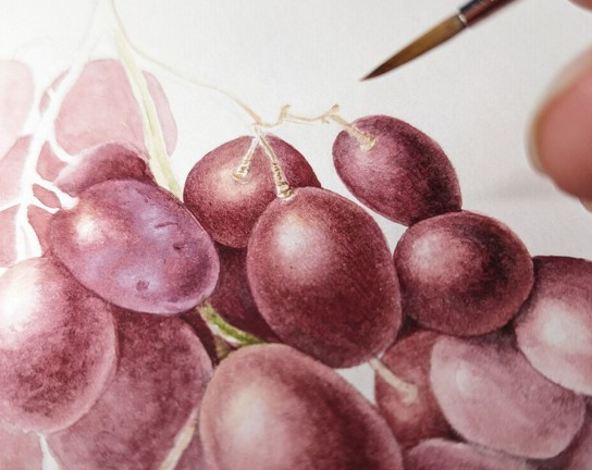 Image for Painting Grapes in Watercolor - ONLINE