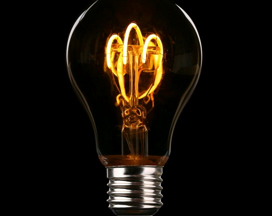 Image for Homeschool Science Supplement at Plains Conservation Center: Electrical Circuits