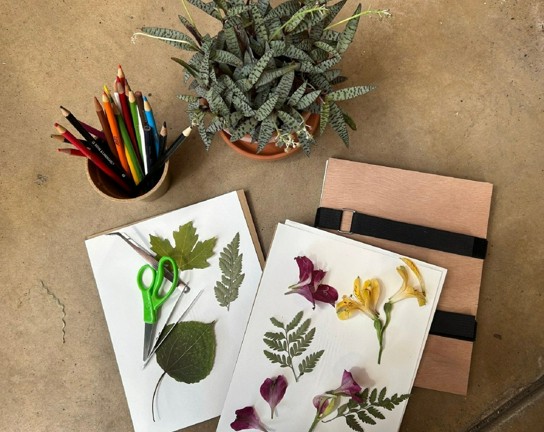 Image for Children and Family Workshop: From Garden to Art - Pressing Plants