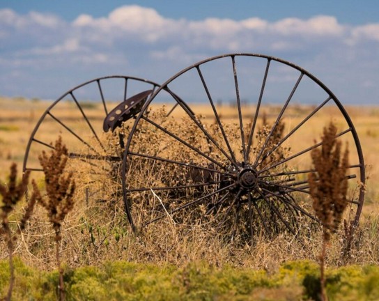 Image for Wagon Tour at Plains Conservation Center