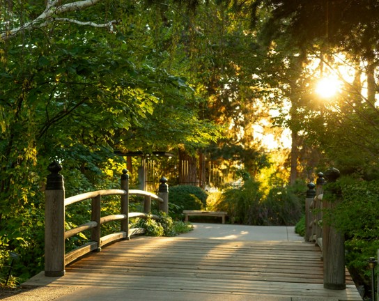 Image for Summer Nights: Sunset Yoga with Silent Disco