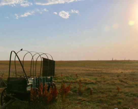 Image for Sunset Wagon Tours for Artists at Plains Conservation Center