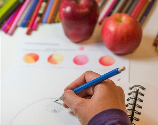 Image for Drawing in Pencil 1 - ONLINE
