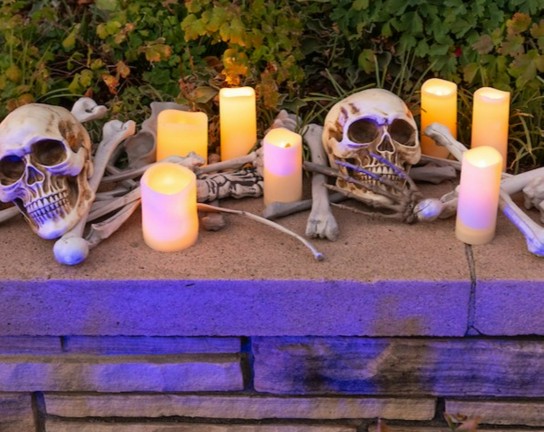 Image for Skulls and Spooky Succulents
