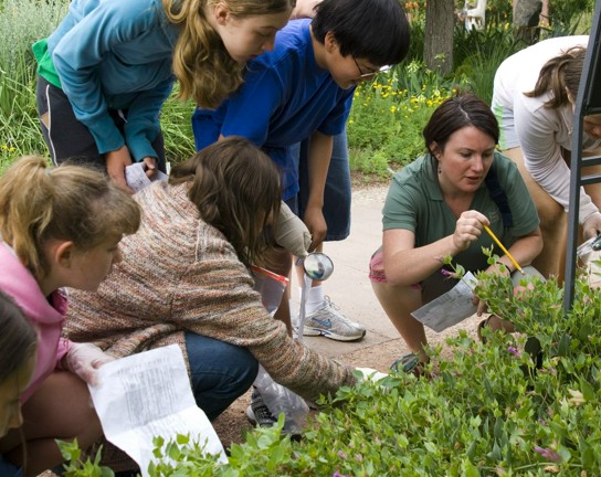Image for Guided Discovery Tours