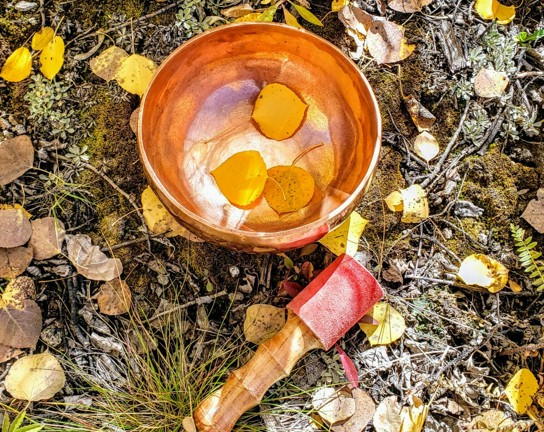 Image for A Singing Bowl Workshop for Self-Care and Wellness