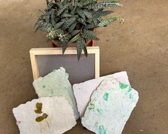Image for Children and Family Workshop: From Plants to Paper