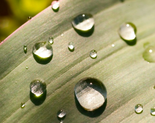 Image for Guided Meditations: A Monthly Series