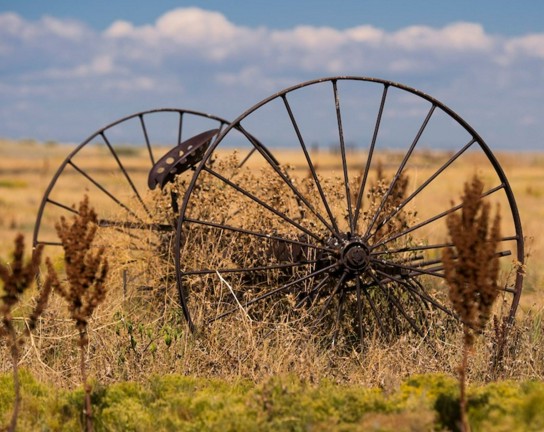 Image for Morning Wagon Tours for Artists