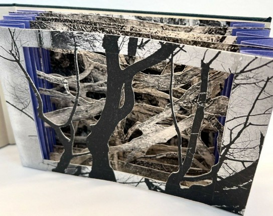 Image for Tunnel Books for Beginners