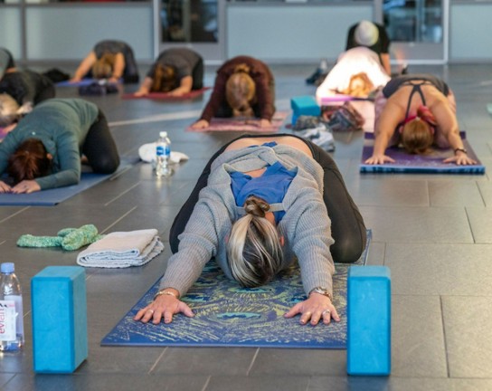 Image for Sunrise Vinyasa Yoga at the Gardens