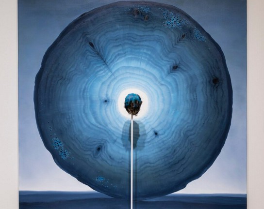 Image for Curator Conversations Tour
