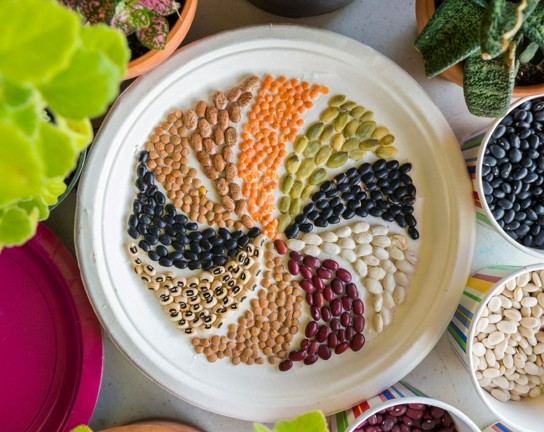 Image for Summer Herbal Certificate Program - Seed to Remedy 