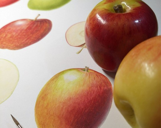 Image for Painting Apples in Watercolor - ONLINE