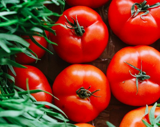 Image for Totally Tomato