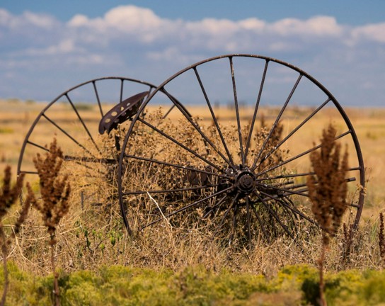 Image for Guided Homeschool Exploration at Plains Conservation Center: History of Agriculture