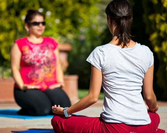Image for Mindfulness at the Gardens