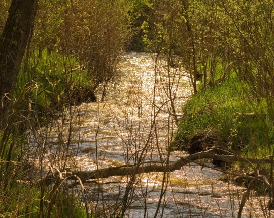 Image for Literature of the Land: Spring Book Club