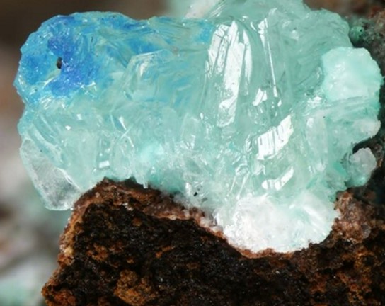 Image for Homeschool Science Supplement at Plains Conservation Center: Geology
