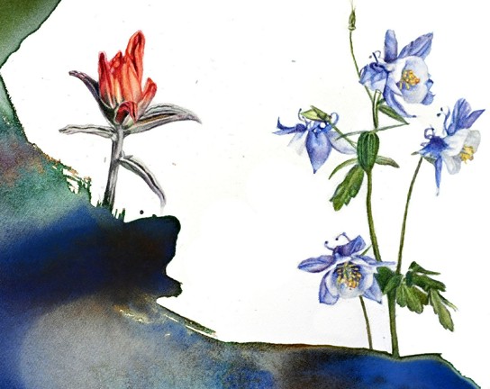 Image for Watercolors and Colored Pencils in Mixed Media