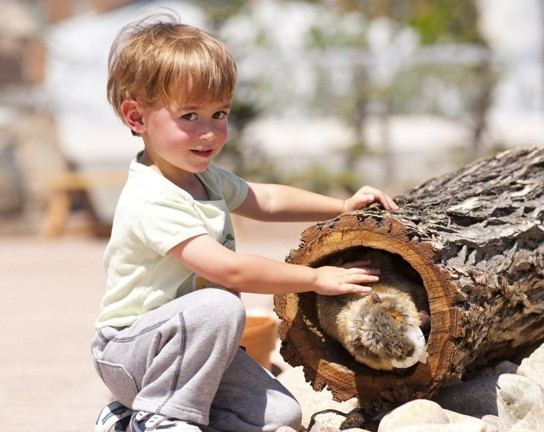 Image for Seedlings: Fun in the Sun