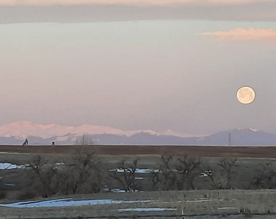 Image for Full Moon Hike