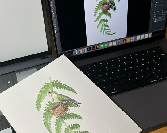 Image for Digitizing Your Artwork - ONLINE