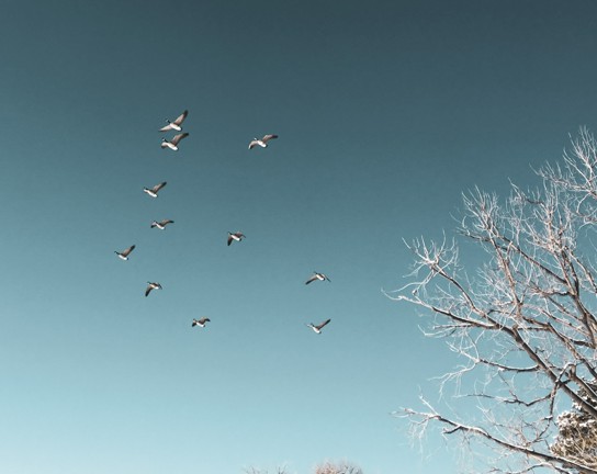 Image for Photography Zen Part 1: Cultivating Creativity Through Mindfulness