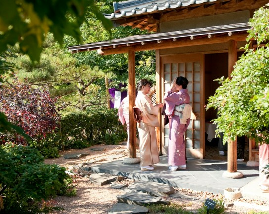 Image for Japanese Tea Ceremony